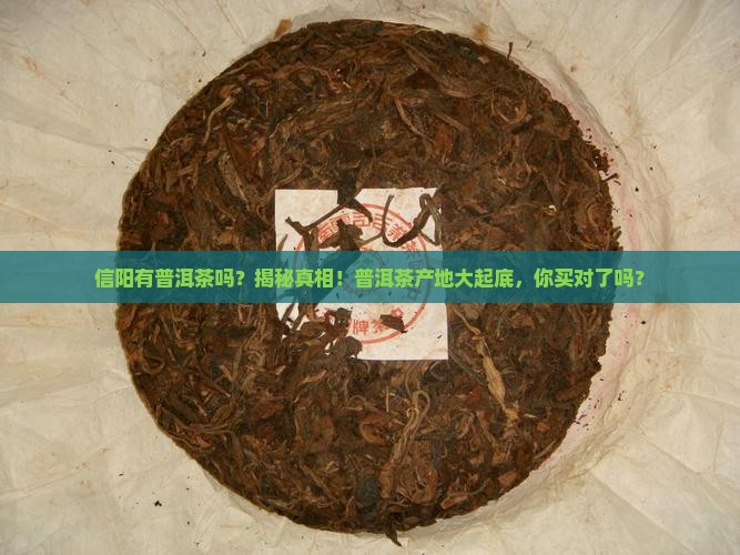 信阳有普洱茶吗在哪里