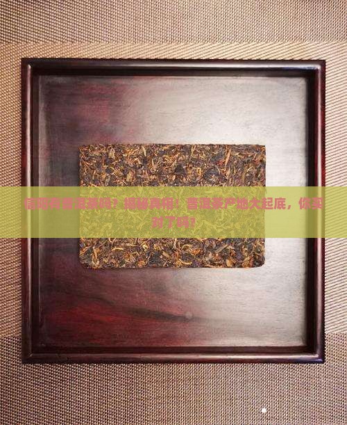 信阳有普洱茶吗在哪里