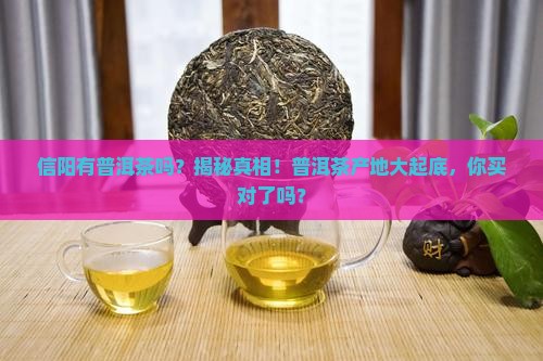 信阳有普洱茶吗在哪里
