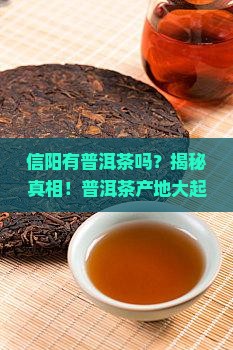 信阳有普洱茶吗在哪里