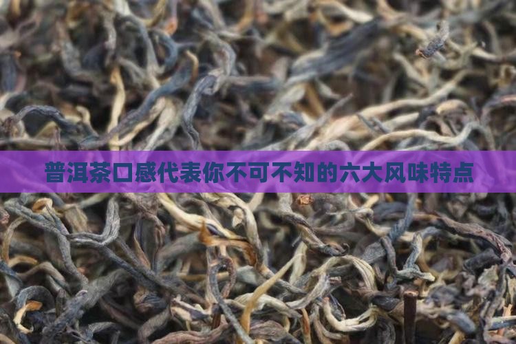 普洱茶口感代表
