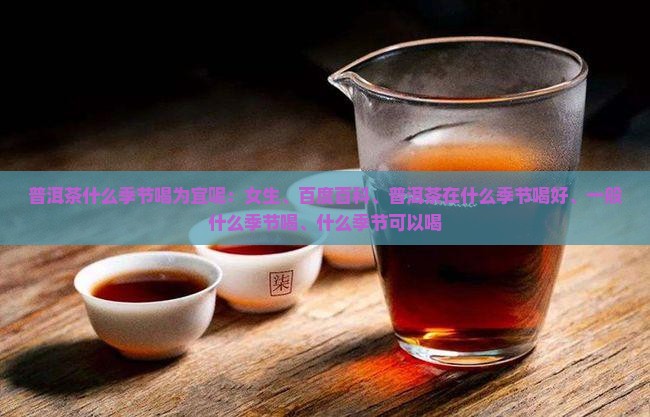 普洱茶什么季节喝为宜呢