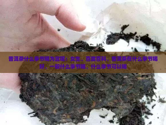 普洱茶什么季节喝为宜呢