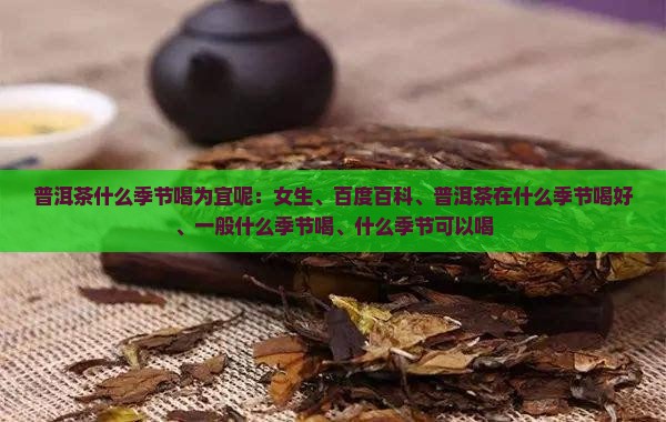 普洱茶什么季节喝为宜呢