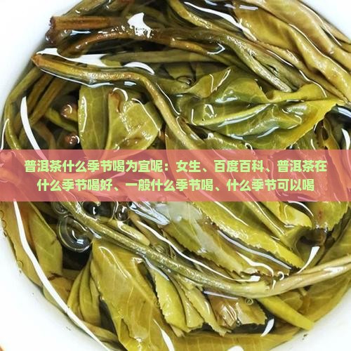 普洱茶什么季节喝为宜呢