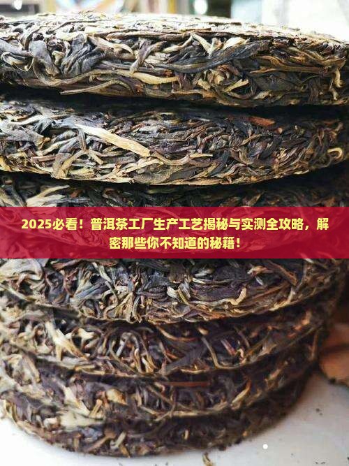 普洱茶工厂生产工艺有哪些