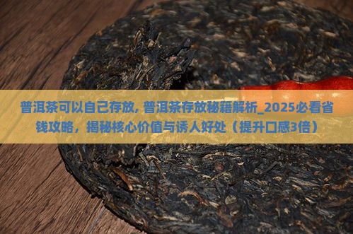 普洱茶可以自己存放