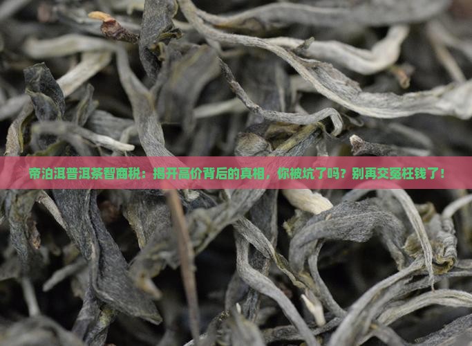 帝泊洱普洱茶智商税