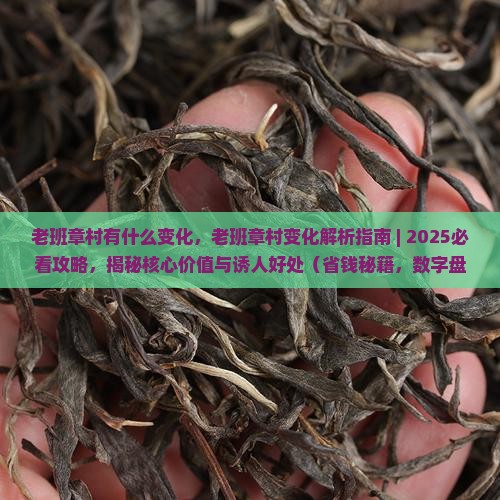 老班章村有什么变化