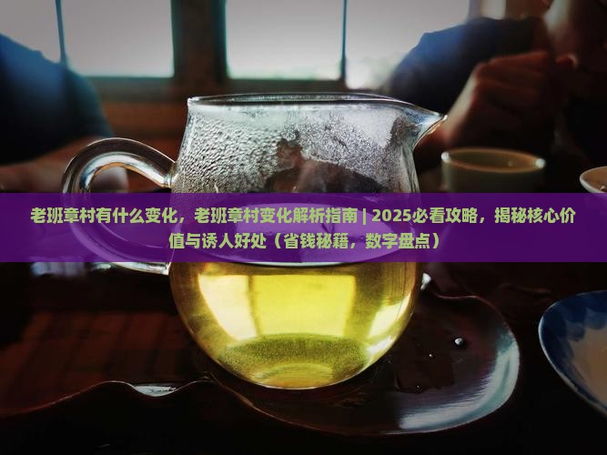 老班章村有什么变化