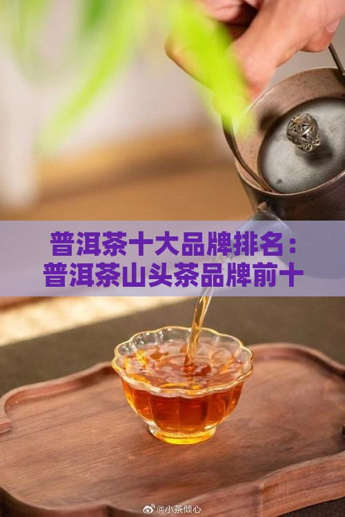 普洱茶山头茶品牌排名前十
