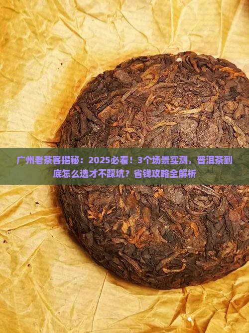 广州人对普洱茶的看法