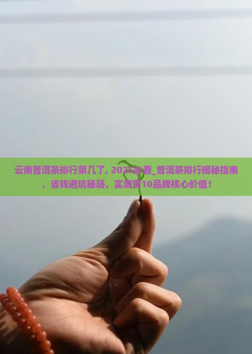 云南普洱茶排行第几了