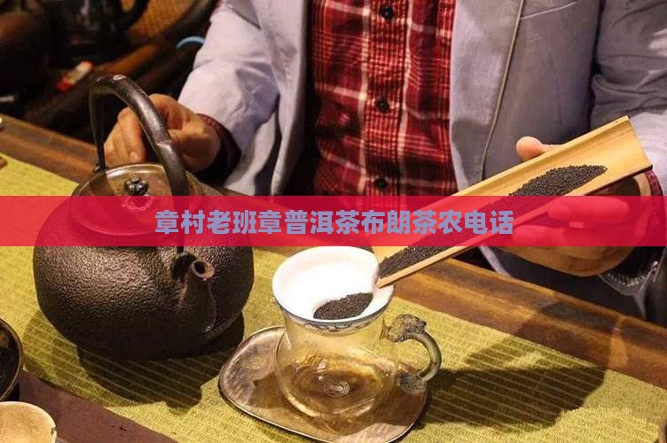 老班章村茶农电话
