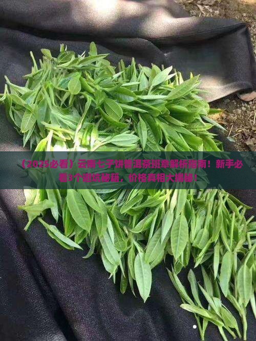 云南七子饼普洱茶班章