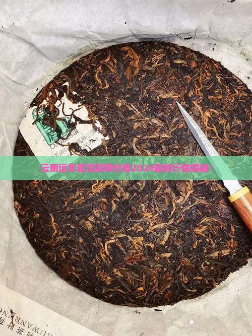 云南远年普洱茶砖价格