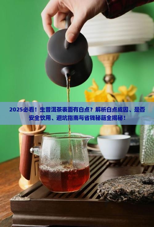 生普洱茶表面有白点