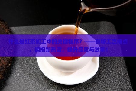 什么是红茶加工中的关键程序