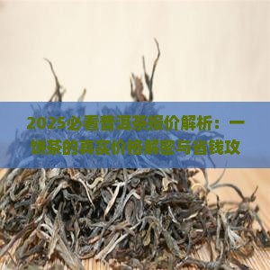 一饼普洱茶报价 一饼普洱茶报价