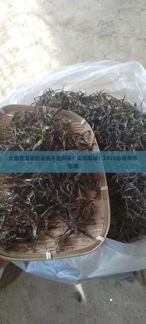 大福普洱茶测评