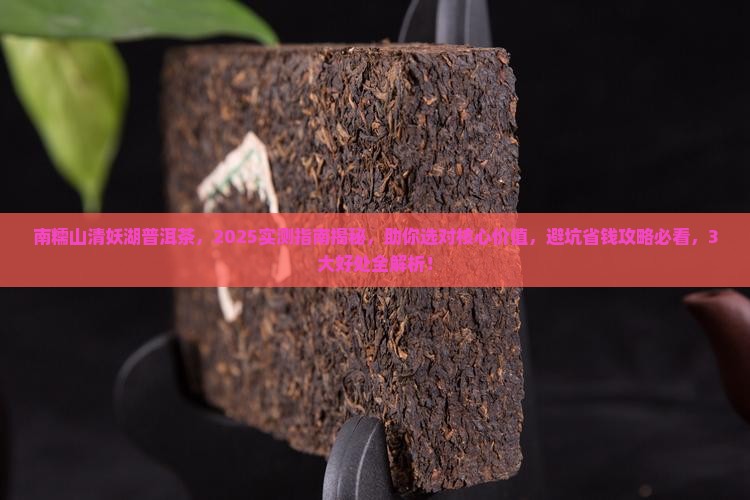 南糯山清妖湖普洱茶