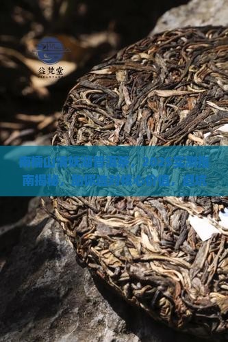 南糯山清妖湖普洱茶