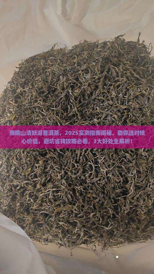 南糯山清妖湖普洱茶