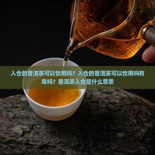 入仓的普洱茶可以饮用吗