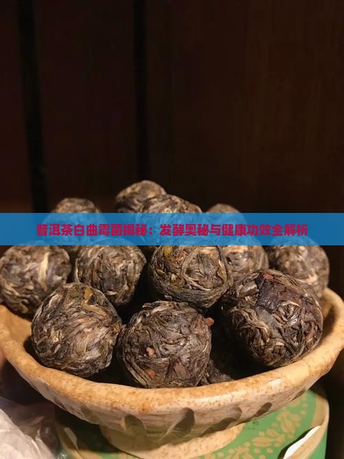 普洱茶白曲霉菌