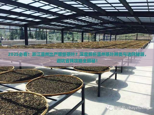 浙江温州出产什么茶叶