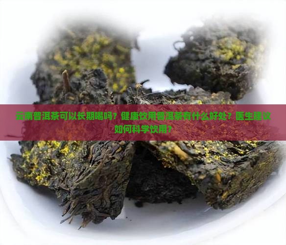 云南普洱茶能经常喝吗