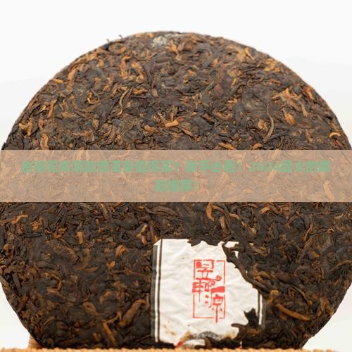 金骆驼奖哪款普洱茶