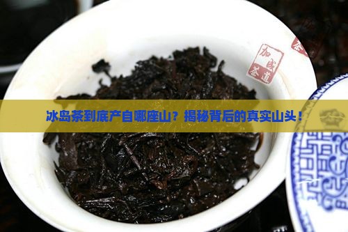 冰岛茶是哪座山头