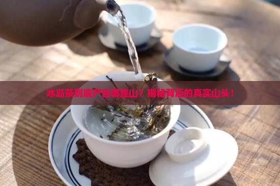 冰岛茶是哪座山头