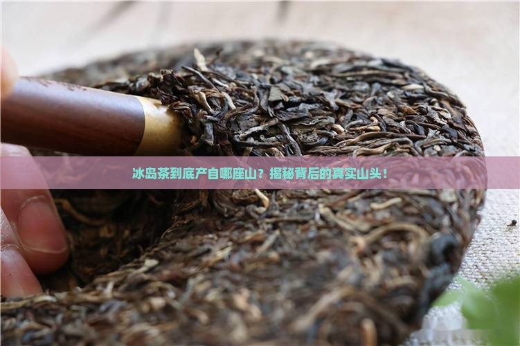冰岛茶是哪座山头