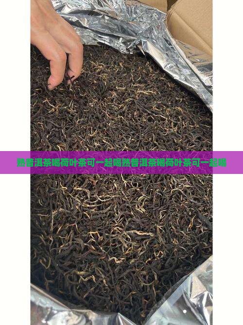 熟普洱茶喝荷叶茶可一起喝