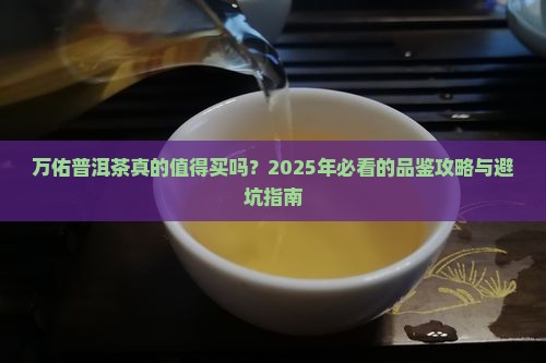 万佑普洱茶的优点