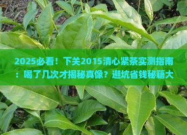 下关2015清心紧茶