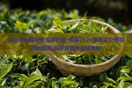 800年老班章普洱茶价格
