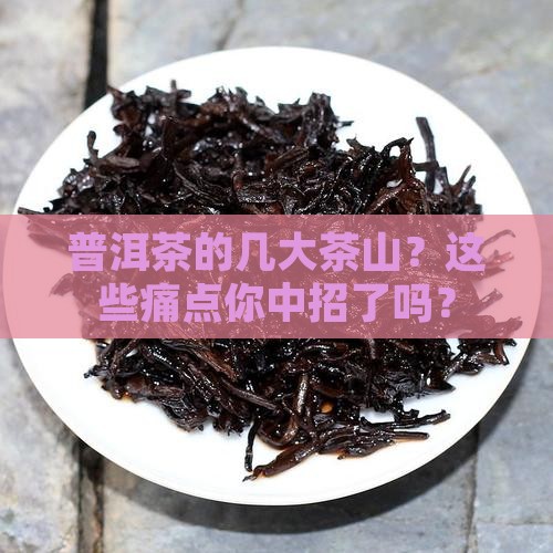 普洱茶的几大茶山
