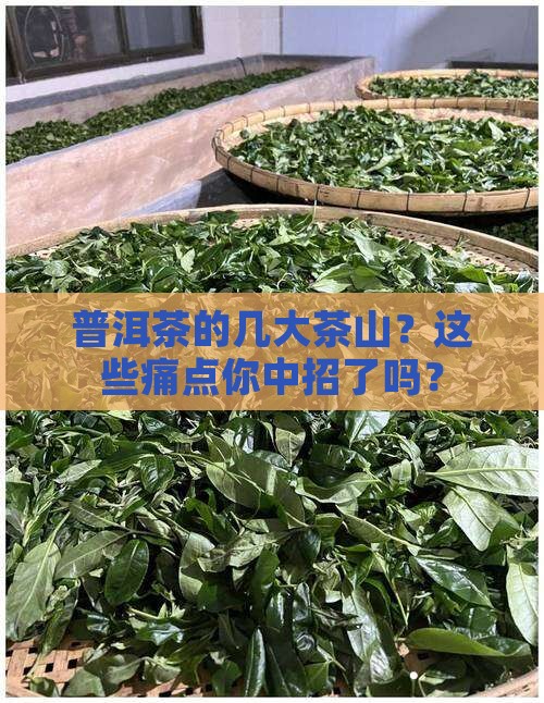 普洱茶的几大茶山