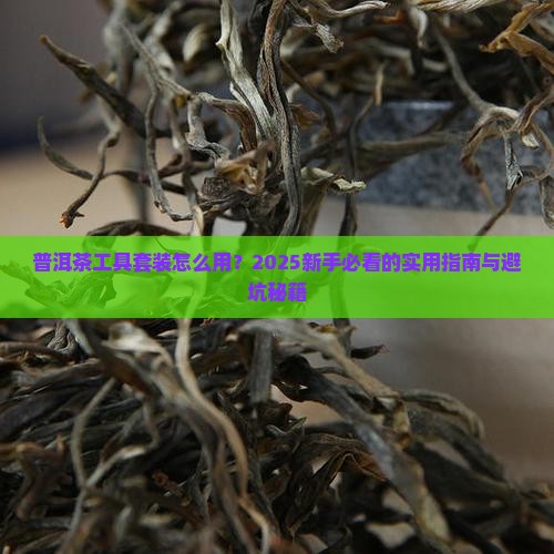 普洱茶工具套装用法