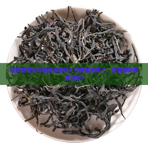 轻微感冒可以喝普洱茶吗