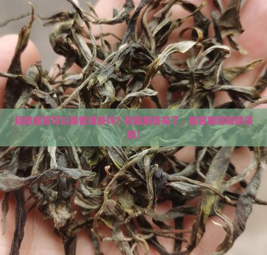 轻微感冒可以喝普洱茶吗