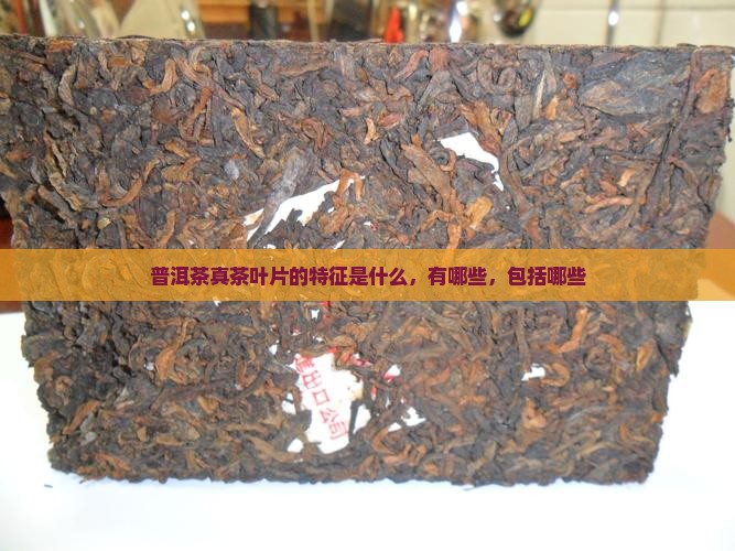 普洱茶真茶叶片的特征
