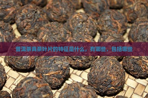 普洱茶真茶叶片的特征