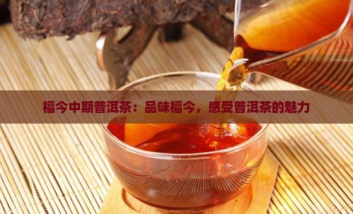福今中期普洱茶 福今中期普洱茶