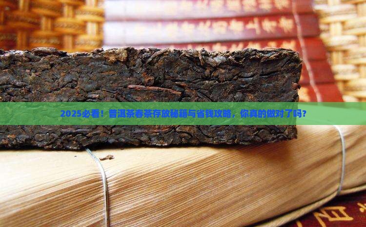 普洱茶春茶存放
