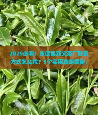 永德县新文茶厂联系方式