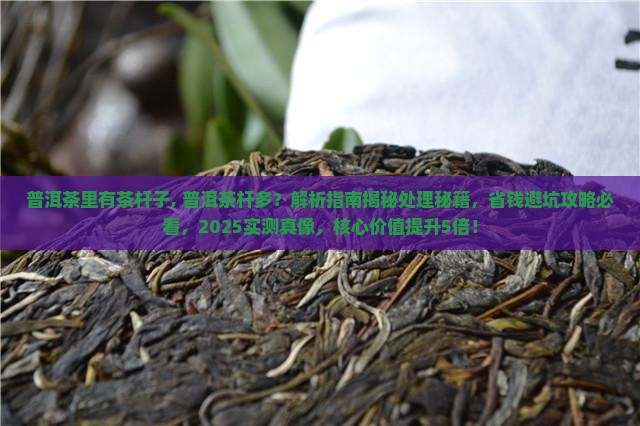 普洱茶里有茶杆子